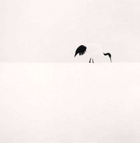 Michael Kenna Art for Sale on SINGULART