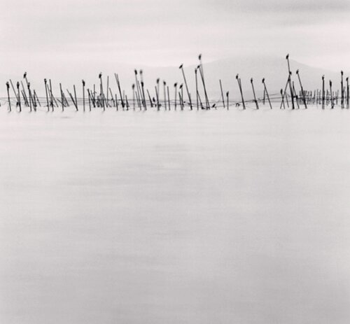 Birds on Poles, Biwa Lake, Honshu, Japan van Michael Kenna, Fotografie te koop op Singulart