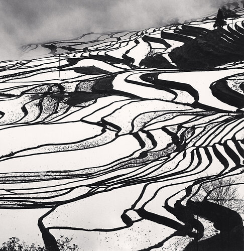 Yuanyang, Study 6, Yunnan, China van Michael Kenna, Fotografie te koop op Singulart