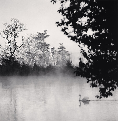 Swan on Lake, Pyin U Lwin, Myanmar van Michael Kenna, Fotografie te koop op Singulart