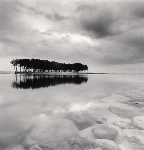 Pine Trees, Study 3, Wolcheon, Gangwondo, South Korea. 2011 van Michael Kenna, Fotografie te koop op Singulart