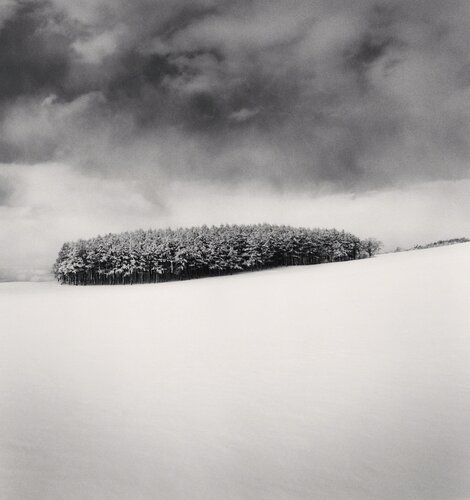 White Copse, Study 2, Wakkanai, Hokkaido, Japan van Michael Kenna, Fotografie te koop op Singulart
