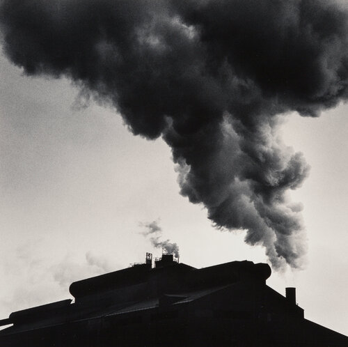 The Rouge, Study 10, Dearborn, Michigan van Michael Kenna, Fotografie te koop op Singulart