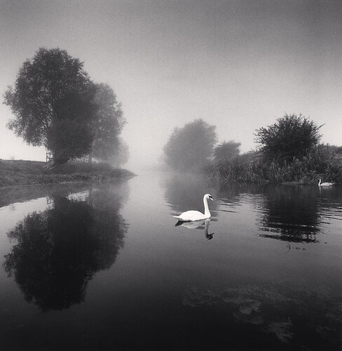 Two Swans, Wolverton, Buckinghamshire, England van Michael Kenna, Fotografie te koop op Singulart