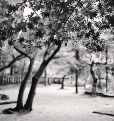 Temple Garden, Negoroji, Kagawa, Shikoku, Japan van Michael Kenna, Fotografie te koop op Singulart