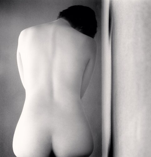 Namiko, Study 3, Japan van Michael Kenna, Fotografie te koop op Singulart