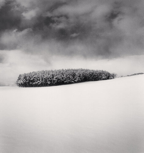 White Copse, Study 2, Wakkanai, Hokkaido, Japan van Michael Kenna, Fotografie te koop op Singulart