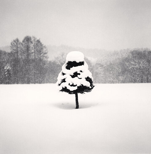 Snow Parfait Tree, Wakoto, Hokkaido, Japan di Michael Kenna, Fotografia in vendita su Singulart
