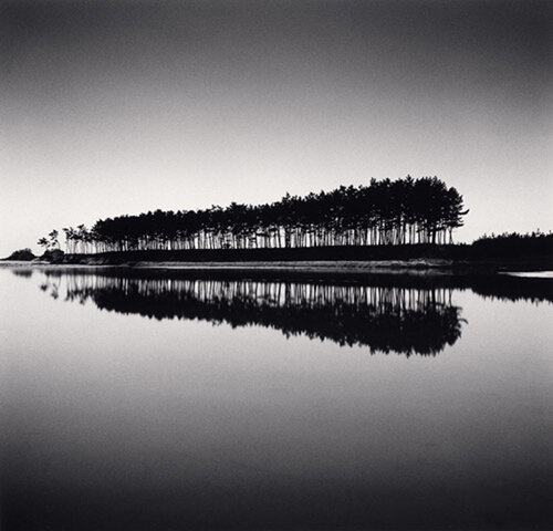 Pine Trees, Study 5, Unyeo Beach, Chungnam, South Korea di Michael Kenna, Fotografia in vendita su Singulart