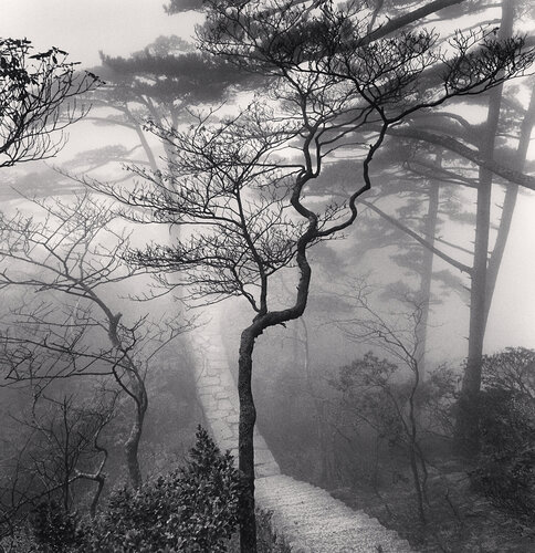 Huangshan Mountains, Study 20, Anhui di Michael Kenna, Fotografia in vendita su Singulart