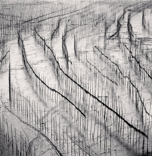 Seaweed Farms, Study 10, Xiapu, Fujian di Michael Kenna, Fotografia in vendita su Singulart