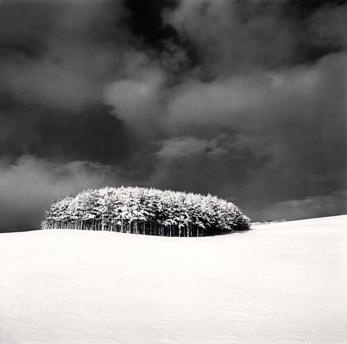 White Copse, Study 3, Wakkanai, Hokkaido, Japan van Michael Kenna, Fotografie te koop op Singulart