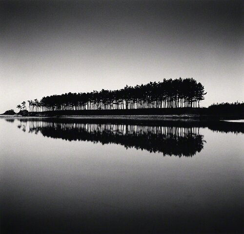 Pine Trees, Study 5, Unyeo Beach, Chungcheongnam-do, South Korea van Michael Kenna, Fotografie te koop op Singulart