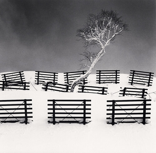 Dakekanba and Snow Barriers, Hokkaido, Japan van Michael Kenna, Fotografie te koop op Singulart