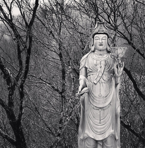 Standing Buddha, Cheonwangsa Temple,  Jeju Island, South Korea van Michael Kenna, Fotografie te koop op Singulart