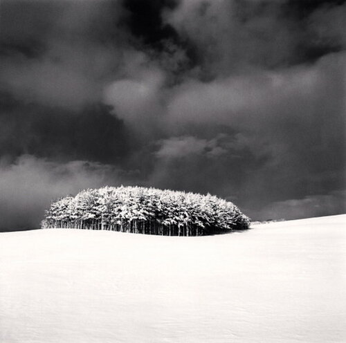 White Copse, Study 3, Wakkanai, Hokkaido, Japan van Michael Kenna, Fotografie te koop op Singulart