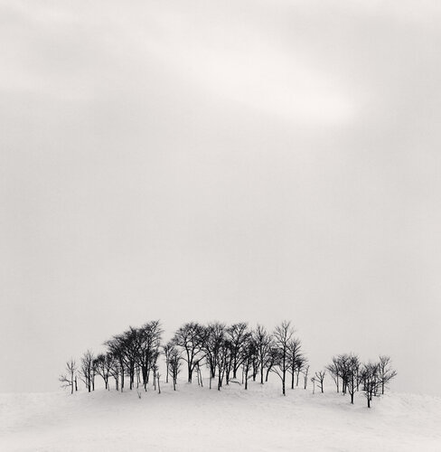 Afternoon Light, Shibecha, Hokkaido van Michael Kenna, Fotografie te koop op Singulart