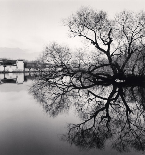 Reflected Tree, Hongkun, Anhui, China van Michael Kenna, Fotografie te koop op Singulart