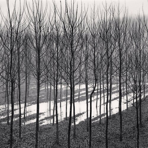 Flooded Fields, Luzzara, Emilia Romagna, Italy van Michael Kenna, Fotografie te koop op Singulart