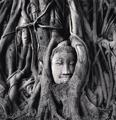 Wat Mahathat Buddha Head, Ayutthaya, Thailand van Michael Kenna, Fotografie te koop op Singulart