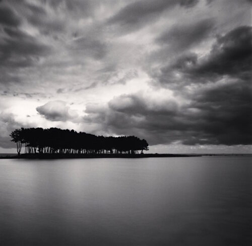 Pine Trees, Study 2, Wolcheon, Gangwondo, South Korea van Michael Kenna, Fotografie te koop op Singulart