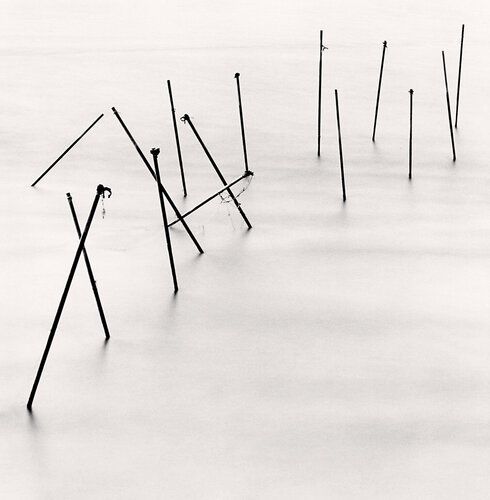 Sixteen Poles, Daebudu, Gyeonggi-do, South Korea van Michael Kenna, Fotografie te koop op Singulart