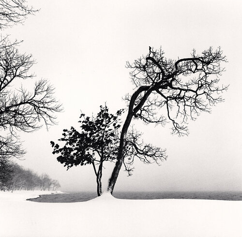 Chilly Weather, Study 2, Hokkaido, Japan van Michael Kenna, Fotografie te koop op Singulart