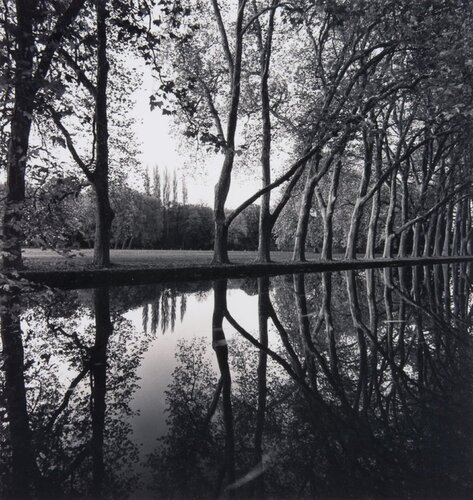 Allee d’Honneur, Courances, France van Michael Kenna, Fotografie te koop op Singulart