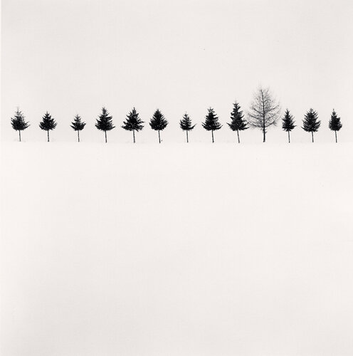 Line of Trees, Biei, Hokkaido, Japan van Michael Kenna, Fotografie te koop op Singulart