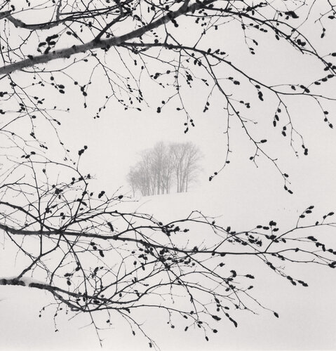 Distant Trees, Sorachi, Hokkaido, Japan van Michael Kenna, Fotografie te koop op Singulart