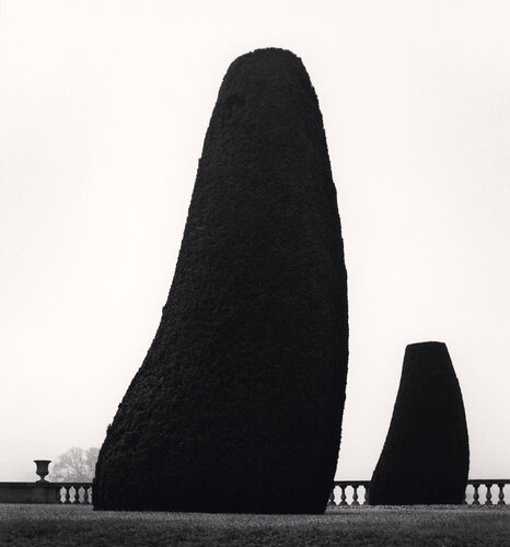 Bowood Gardens, Study 2, Wiltshire, England di Michael Kenna, Fotografia in vendita su Singulart