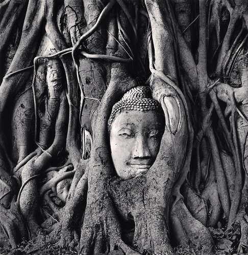 Wat Mahathat Buddha Head, Ayutthaya, Thailand di Michael Kenna, Fotografia in vendita su Singulart