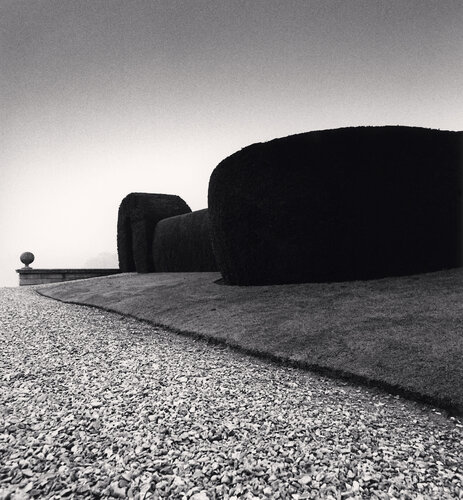 Bowood Gardens, Study 3, Wiltshire, England di Michael Kenna, Fotografia in vendita su Singulart