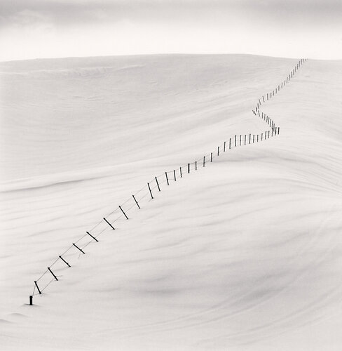 Hillside Fence, Study 7, Teshikaga, Hokkaido, Japan di Michael Kenna, Fotografia in vendita su Singulart