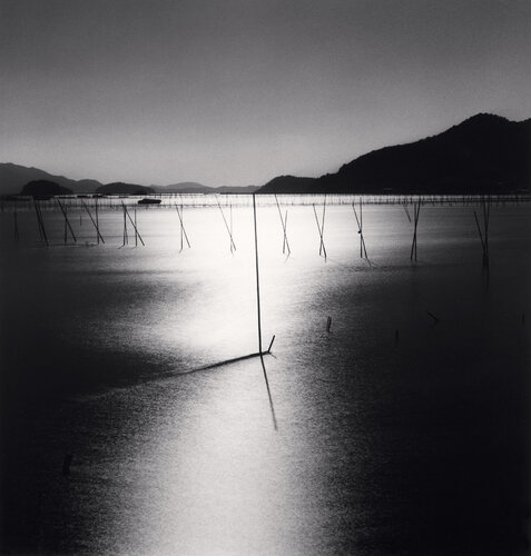 Aquaculture Sticks, Noryuckdo, Jangheung, Jeollanam-do, South Korea, di Michael Kenna, Fotografia in vendita su Singulart