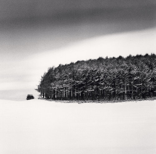 White Copse, Study 4, Wakkanai, Hokkaido, Japan di Michael Kenna, Fotografia in vendita su Singulart