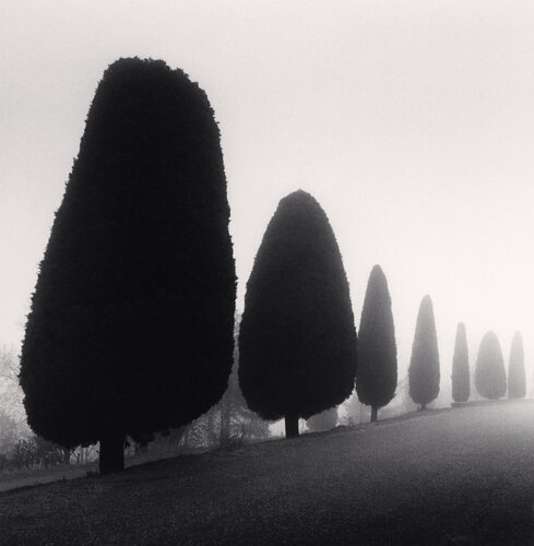 Seven Trees, Castello di Canossa, Italy di Michael Kenna, Fotografia in vendita su Singulart