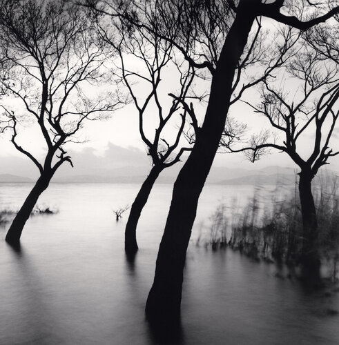 Erhai Lake, Study 12, China di Michael Kenna, Fotografia in vendita su Singulart