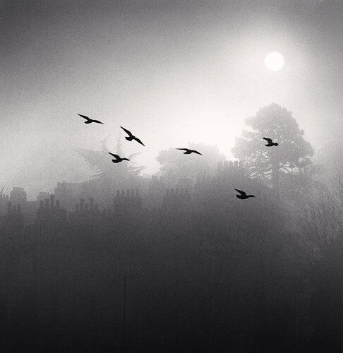 Six Flying Birds, Bath, Avon, England di Michael Kenna, Fotografia in vendita su Singulart