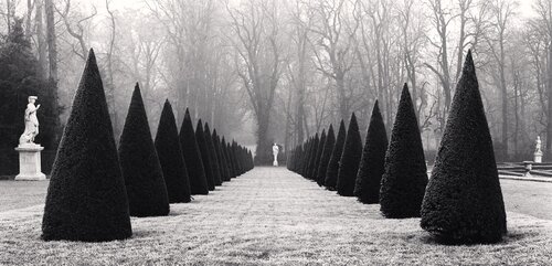 Avenue of Three Fountains, Versailles, France. di Michael Kenna, Fotografia in vendita su Singulart