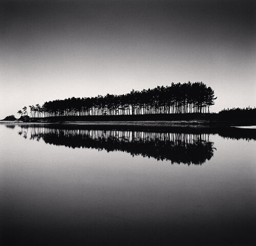 Pine Trees, Study 5, Unyeo Beach, Chungcheongnam-do, South Korea di Michael Kenna, Fotografia in vendita su Singulart