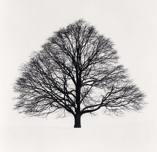 Cikisani Kamuy Study 1, Sorachi Hokkaido, Japan van Michael Kenna, Fotografie te koop op Singulart