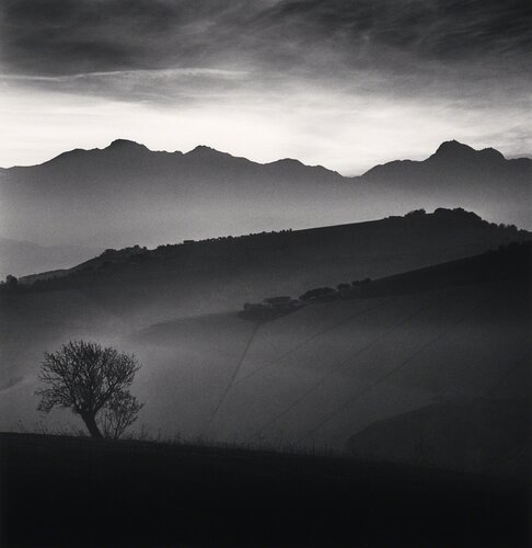 Tree and Gran Sasso Mountain, Castilenti, Abruzzo, Italy van Michael Kenna, Fotografie te koop op Singulart