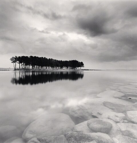 Pine Trees, Study 3, Wolcheon, Gangwondo, South Korea van Michael Kenna, Fotografie te koop op Singulart