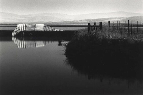 Reflection, Shasta Valley, CA van Michael Kenna, Fotografie te koop op Singulart