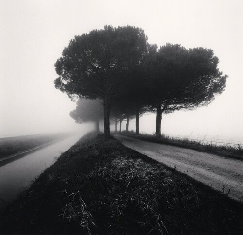 Canal and Trees, Goro Ferrara, Veneto, Italy van Michael Kenna, Fotografie te koop op Singulart