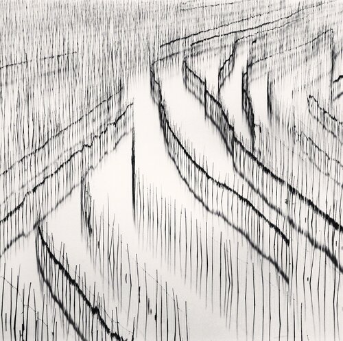 Seaweed Farms, Study 3, Xiapu, Fujian, China van Michael Kenna, Fotografie te koop op Singulart