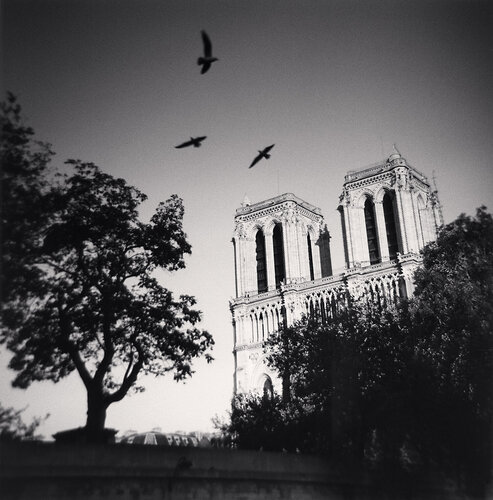 Notre Dame, Study 12, Paris, France van Michael Kenna, Fotografie te koop op Singulart