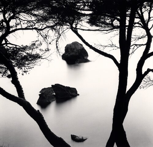 Catany's Trees, Llucalcari, Mallorca van Michael Kenna, Fotografie te koop op Singulart