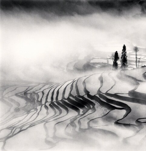 Yuanyang, Study 1, Yunnan, China van Michael Kenna, Fotografie te koop op Singulart
